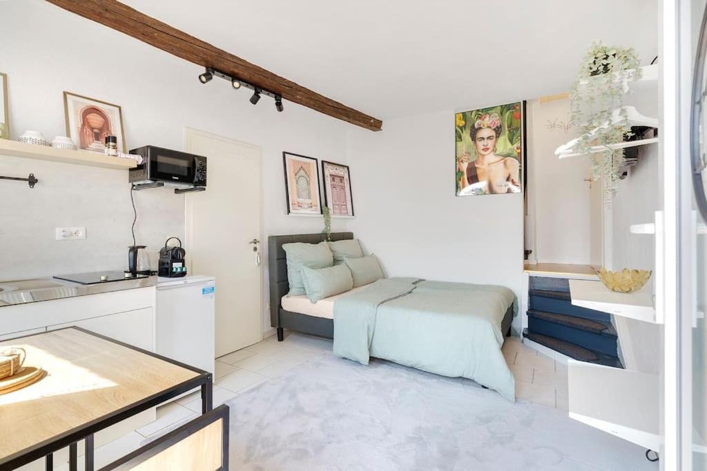 Tiny Apartment With Spacious Terrace On The Rhine Neuwied Exteriér fotografie